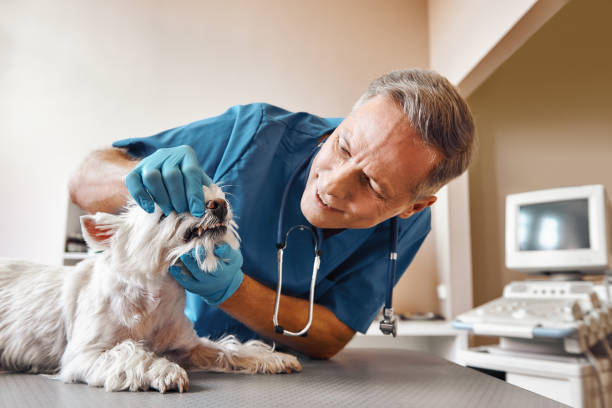 Best Pediatric Emergency Dentist in Pembroke Park, FL